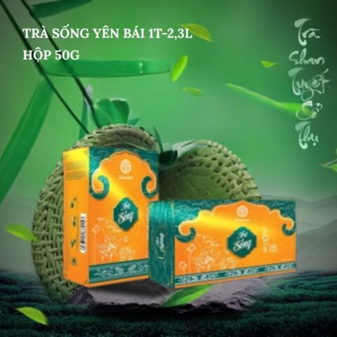 TRÀ VÀNG - TRÀ SỐNG YÊN BÁI 1T-2,3L HỘP 50G