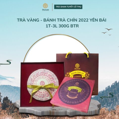 TRÀ VÀNG - BÁNH TRÀ CHÍN 2022 YÊN BÁI 1T-3L 300G BTR