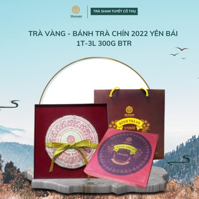TRÀ VÀNG - BÁNH TRÀ CHÍN 2022 YÊN BÁI 1T-3L 300G BTR