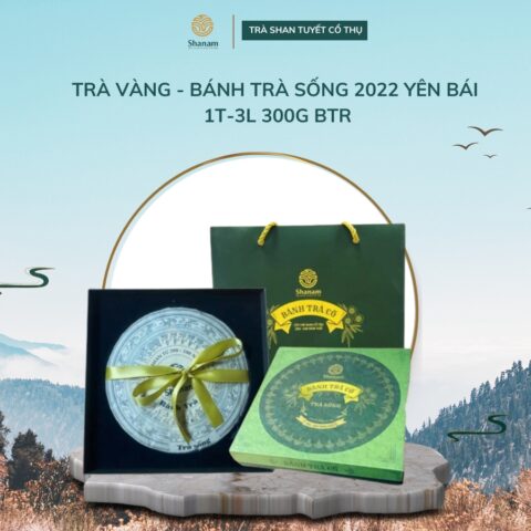 Trà Vàng - Bánh Trà Sống 2022 Yên Bái 1T-3L 300G Btr