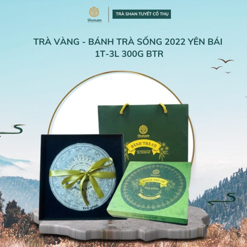 Trà Vàng - Bánh Trà Sống 2022 Yên Bái 1T-3L 300G Btr