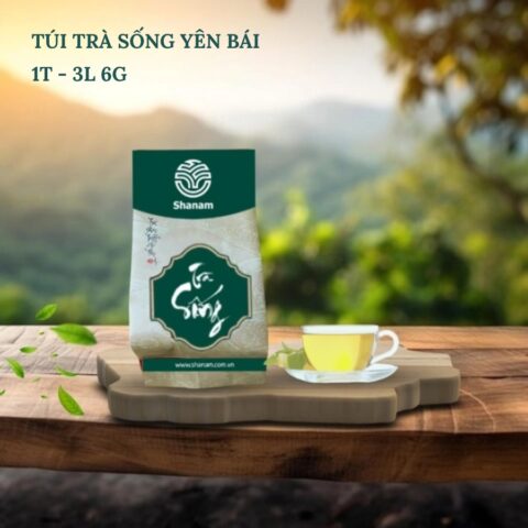 TRÀ VÀNG - TÚI TRÀ SỐNG YÊN BÁI 1 TÔM - 3 LÁ 6G