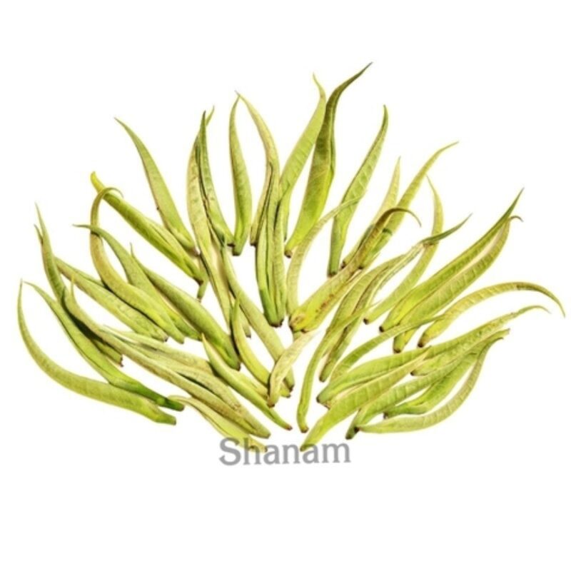 CHUM BẠCH TRÀ THIÊN TÀ XÙA 100G - Hình ảnh 6