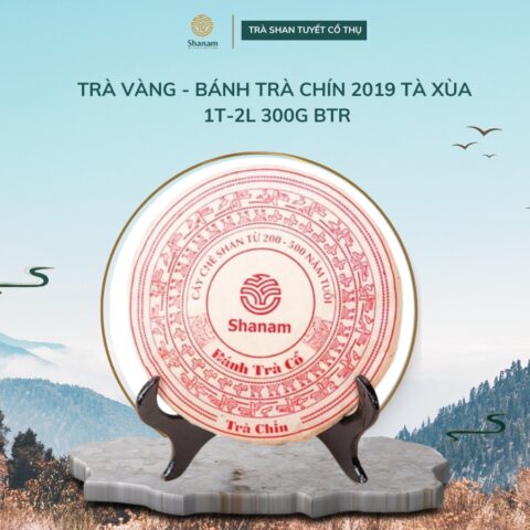 TRÀ VÀNG - BÁNH TRÀ CHÍN 2019 TÀ XÙA 1T-2L 300G BTR