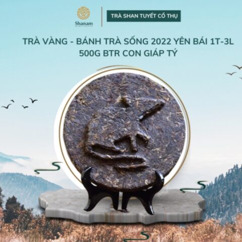 TRÀ VÀNG - BÁNH TRÀ SỐNG 2022 YÊN BÁI 1T-3L 500G BTR CON GIÁP TÝ