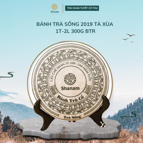 BÁNH TRÀ SỐNG 2019 TÀ XÙA 1T-2L 300G BTR
