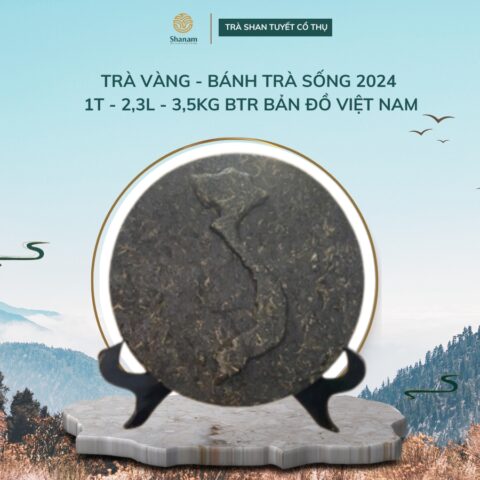 TRÀ VÀNG - BÁNH TRÀ SỐNG 2024 1T - 2,3L - 3,5KG BTR BẢN ĐỒ VIỆT NAM