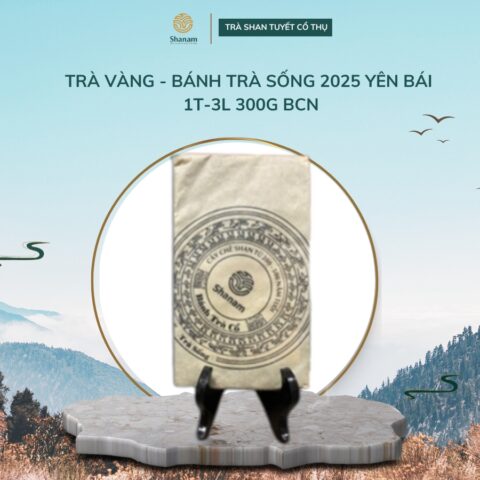 TRÀ VÀNG - BÁNH TRÀ SỐNG 2025 YÊN BÁI 1T-3L 300G BCN
