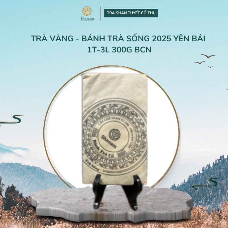 TRÀ VÀNG - BÁNH TRÀ SỐNG 2025 YÊN BÁI 1T-3L 300G BCN