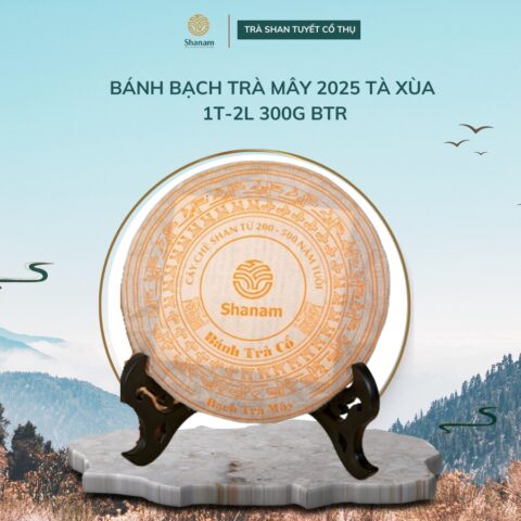 BÁNH BẠCH TRÀ MÂY 2025 TÀ XÙA 1T-2L 300G BTR
