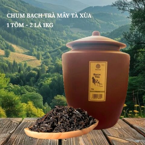 CHUM BẠCH TRÀ MÂY TÀ XÙA 1 TÔM -2 LÁ 1KG