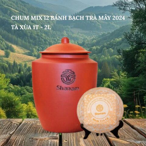 CHUM MIX 12 BÁNH BẠCH TRÀ MÂY 2024 TÀ XÙA 1 TÔM - 2 LÁ