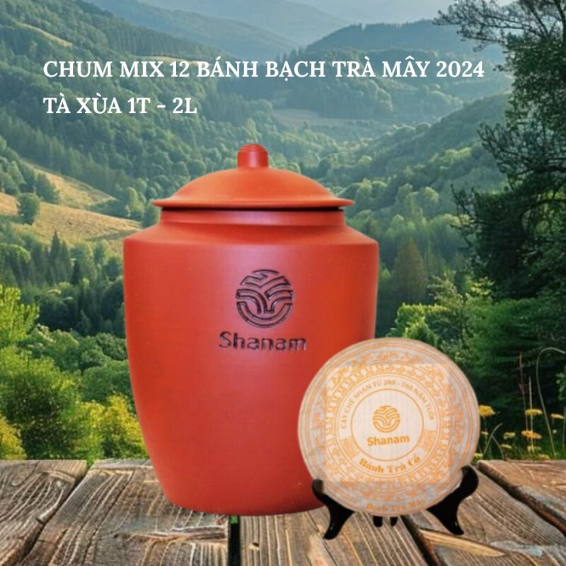 CHUM MIX 12 BÁNH BẠCH TRÀ MÂY 2024 TÀ XÙA 1 TÔM - 2 LÁ