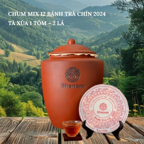 TRÀ VÀNG - CHUM MIX 12 BÁNH TRÀ CHÍN 2024 TÀ XÙA 1 TÔM - 2 LÁ