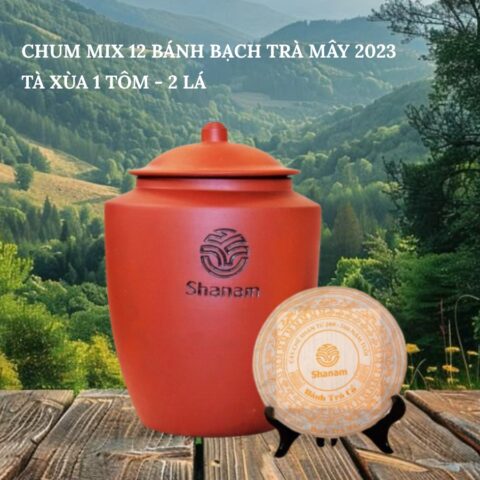 CHUM MIX 12 BÁNH BẠCH TRÀ MÂY 2023 TÀ XÙA 1 TÔM - 2 LÁ