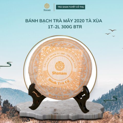 BÁNH BẠCH TRÀ MÂY 2020 TÀ XÙA 1T-2L 300G BTR