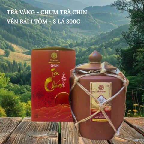 TRÀ VÀNG - CHUM TRÀ CHÍN YÊN BÁI 1 TÔM - 3 LÁ 300G