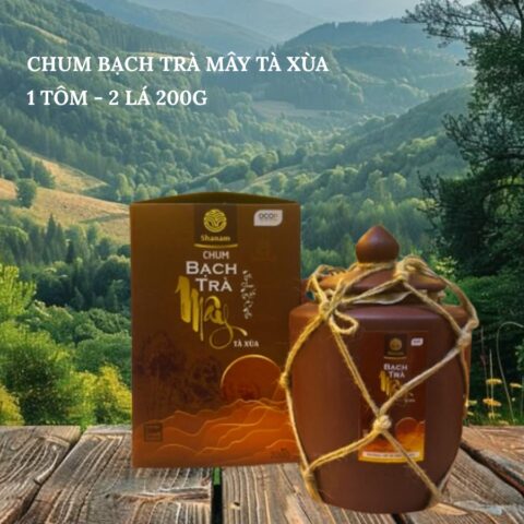 CHUM BẠCH TRÀ MÂY TÀ XÙA 1 TÔM - 2 LÁ 200G