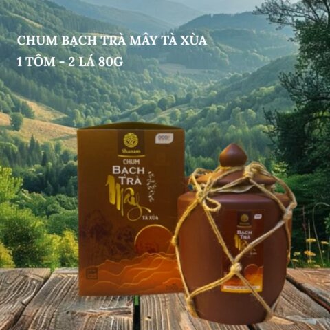 CHUM BẠCH TRÀ MÂY TÀ XÙA 1 TÔM - 2 LÁ 80G