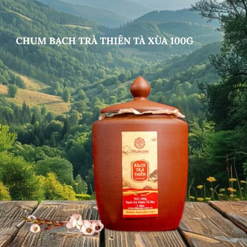 CHUM BẠCH TRÀ THIÊN TÀ XÙA 100G